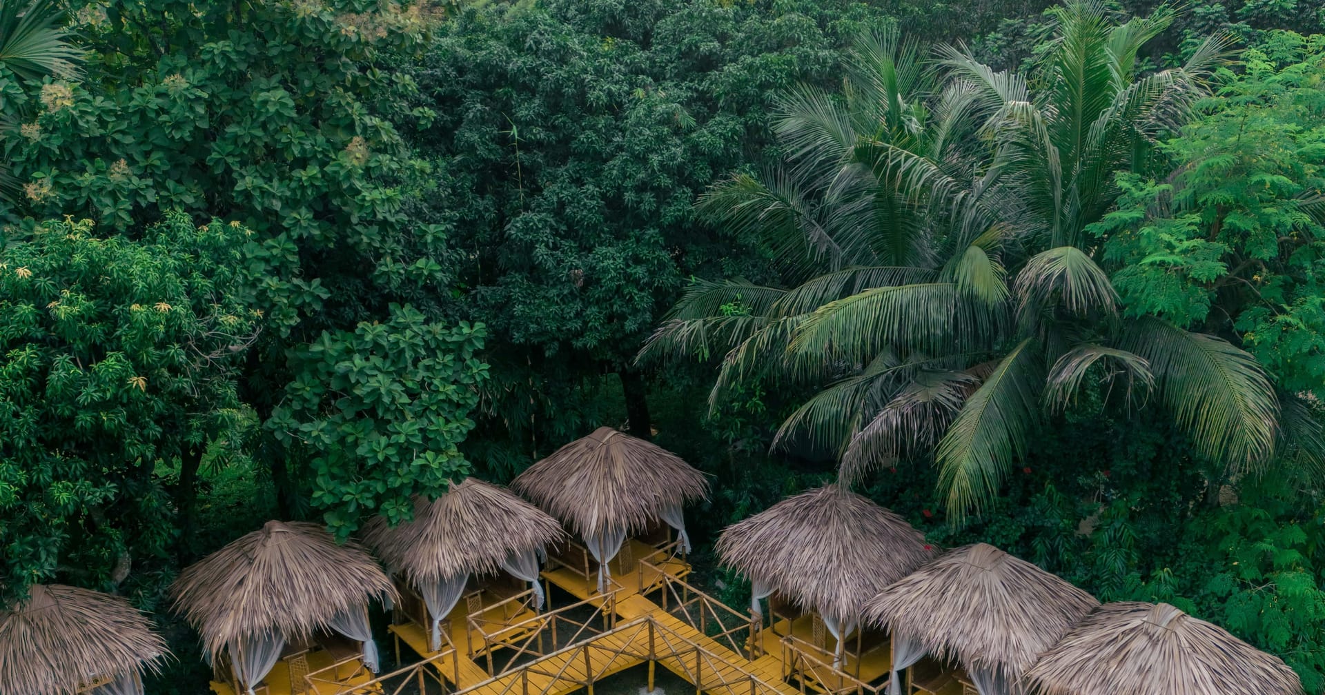 Arshinagar Resort cottages under the Gazipur forest canopy